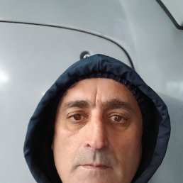 , 54, 