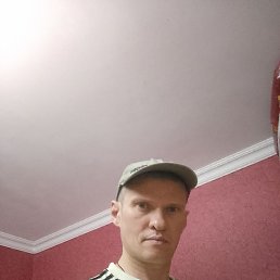 , 41, 