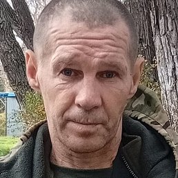 �������, �����������, 46 ���