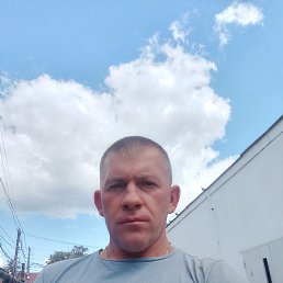 ����, 44 ����, ������������