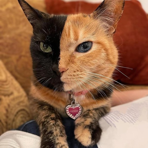     .  16 ,     ,  ,   ... - 4