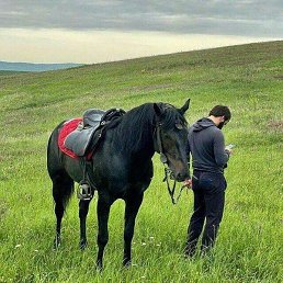 ���, ������, 46 ���