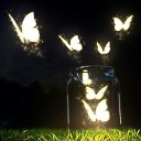 ���� �����, ������ - ��������� 14 ������ 2024 � ������ ���� ����������