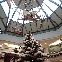 Ko, �����������, 35 ���