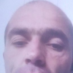 �������, �����-���������, 38 ���