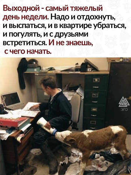 Да пофиг, все равно не успеем сделать все…