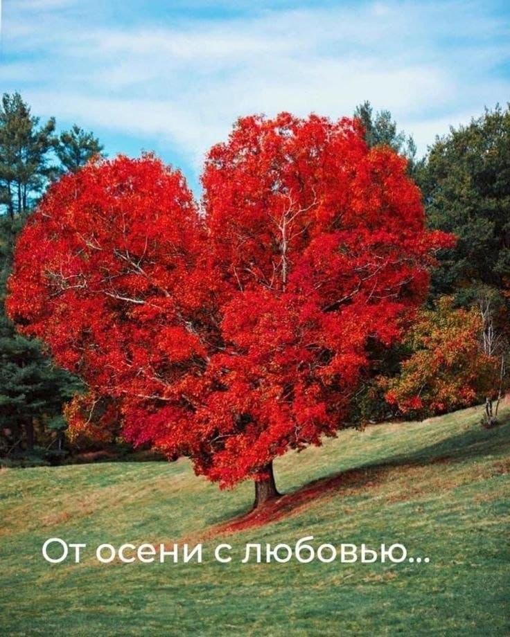 Всё будет хорошо! - 18 сентября 2025 в 09:30