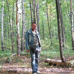 ����, ������������, 62 ����