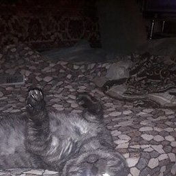 , , 49 