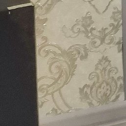 ���������, ���������, 41 ���