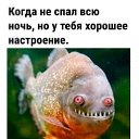   -  !, , 53  -  21  2024    