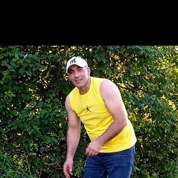 , 43, 