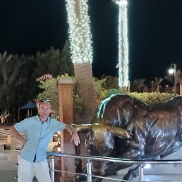 ��������, 39 ���, ������