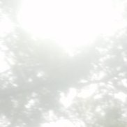 , 46 , 