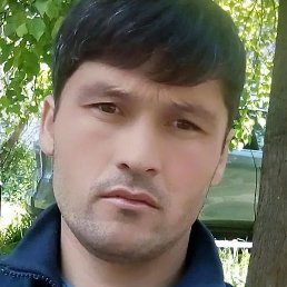 �����, ������, 36 ���