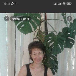 , 53, 
