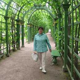 ����, ���������, 82 ����