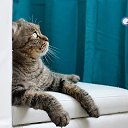 ��� ����.. �� ������� ������ ��������