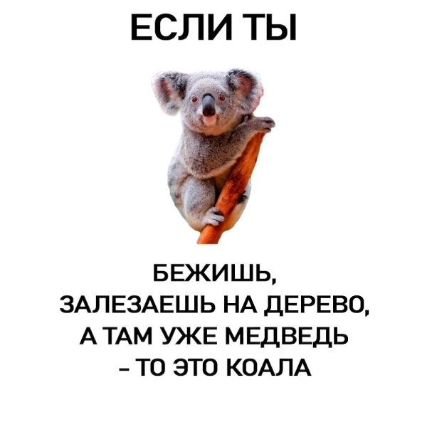  . - 4