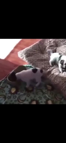 ���������, ��� �� ������� ��� - 2