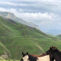 �����, ������, 38 ���