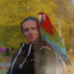 , 33, 