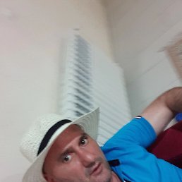 �����, �������, 43 ����