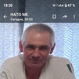 , 53, 