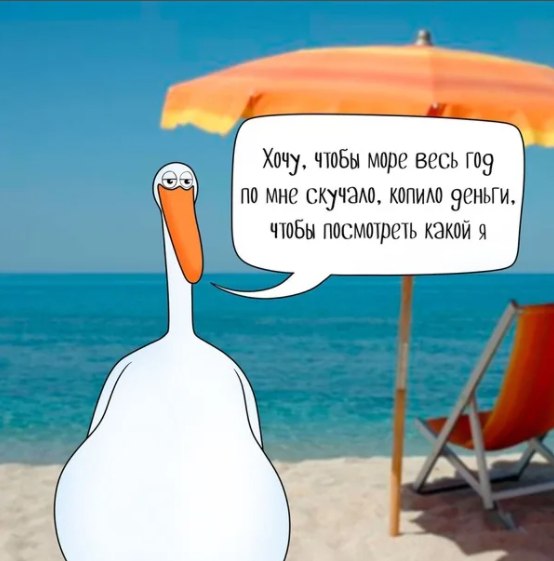 ��� - 14 ���� 2026 � 05:08