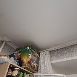 ���� �����, ������, 41 ��� - ��������� 23 ������� 2024