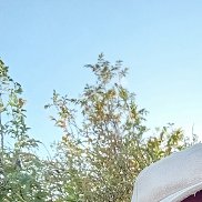 ������, 45 ���, ������