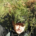 ���� ��������, �����������, 41 ��� - ��������� 1 ������� 2025 � ������ ���� ����������