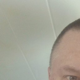 ������, �������, 48 ���