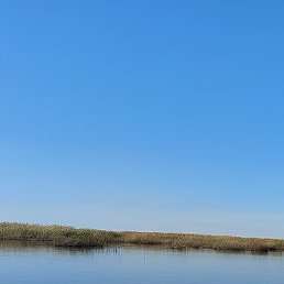 ������, �����-���������, 64 ����