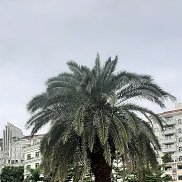 ����, 59 ���, �����