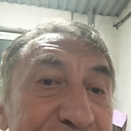  , , 66  -  18  2025