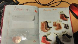 �����������