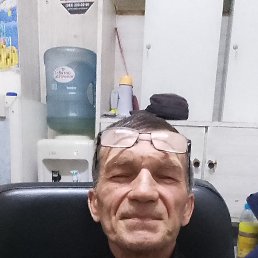 , 61, 