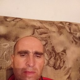 , 42, 