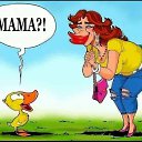 ���� �����, ���� - ��������� 22 �������� 2026 � ������ ������ ��������