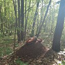 ���� ������, ������ ��������, 46 ��� - ��������� 12 ������ 2025 � ������ ������ ��������