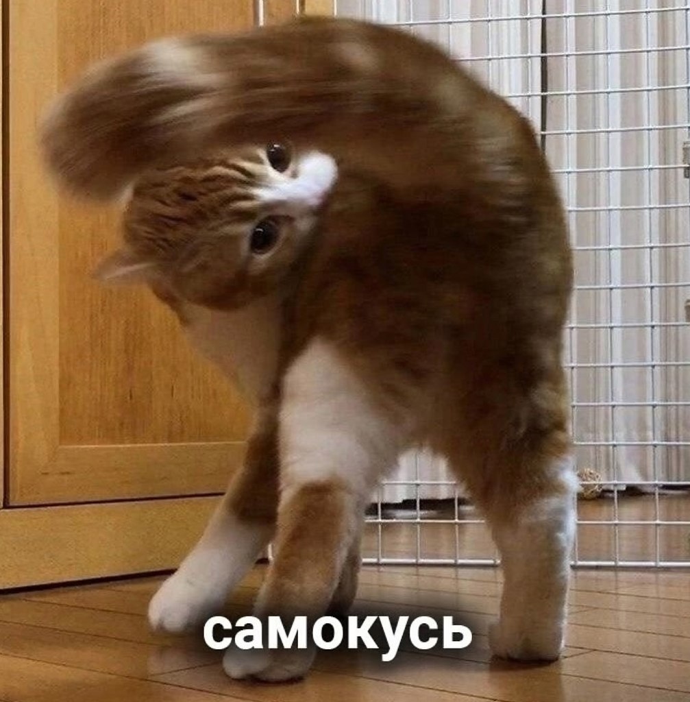 Все кусь прекрасны - 7
