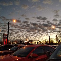 �����, �����-���������, 49 ���