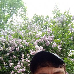 , 31, 