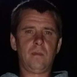 ����, ������, 40 ���