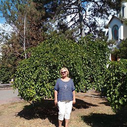 ������, ���������, 65 ���