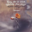 ���� �������, ��������� - ��������� 8 ������ 2025 � ������ ������ ��������