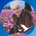 ���� ������, ���������, 70 ��� - ��������� 20 ������ 2024