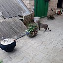 ���� ������, �����, 64 ���� - ��������� 13 ���� 2025 � ������ �������� ��������