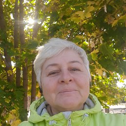 , 59, 